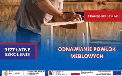 Szkolenie: „Odnawianie powłok meblowych”