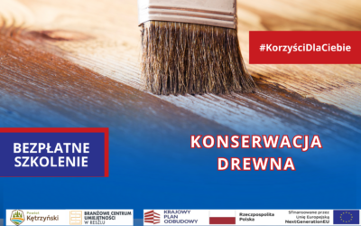 Szkolenie „Konserwacja drewna”